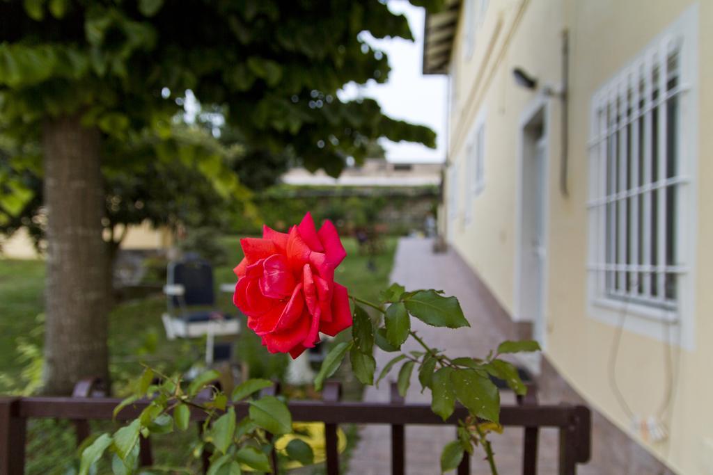 B&B Azzurra Pescara Exterior photo